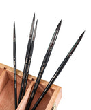 Professional Synthetic Round Paint Brush Set Of 5