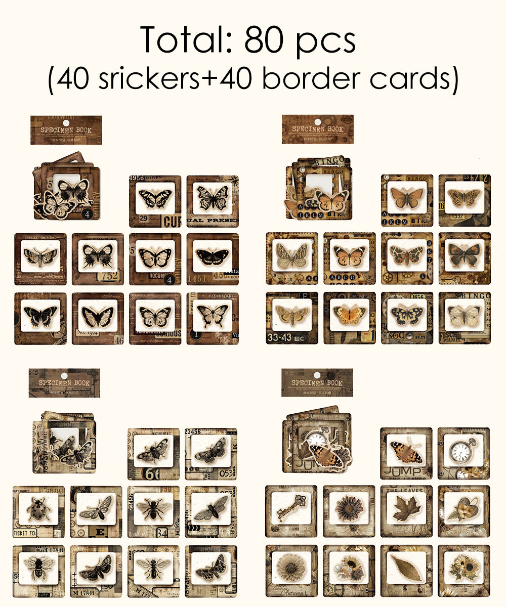 80 Pcs Specimen Book Sticker & Border Card Set