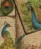 16 Sheets Exclusive Peacock Material Paper Set - Grabie® - Grabie®