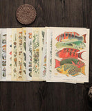 15 Sheets Big Size Vintage Natural History Sticker Set - Grabie