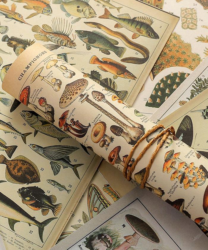 15 Sheets Big Size Vintage Natural History Sticker Set - Grabie